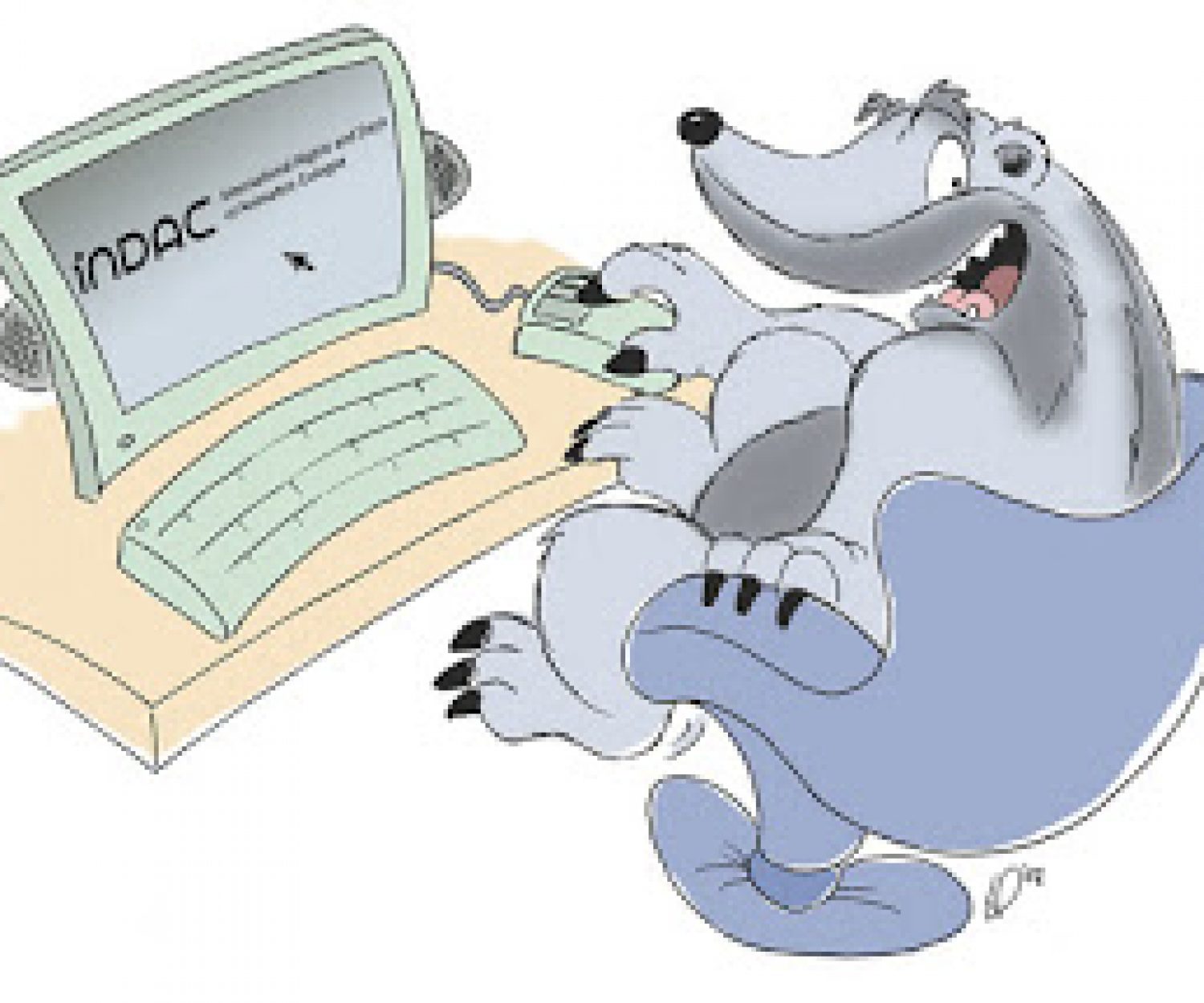 Indachs von Lars Seifert