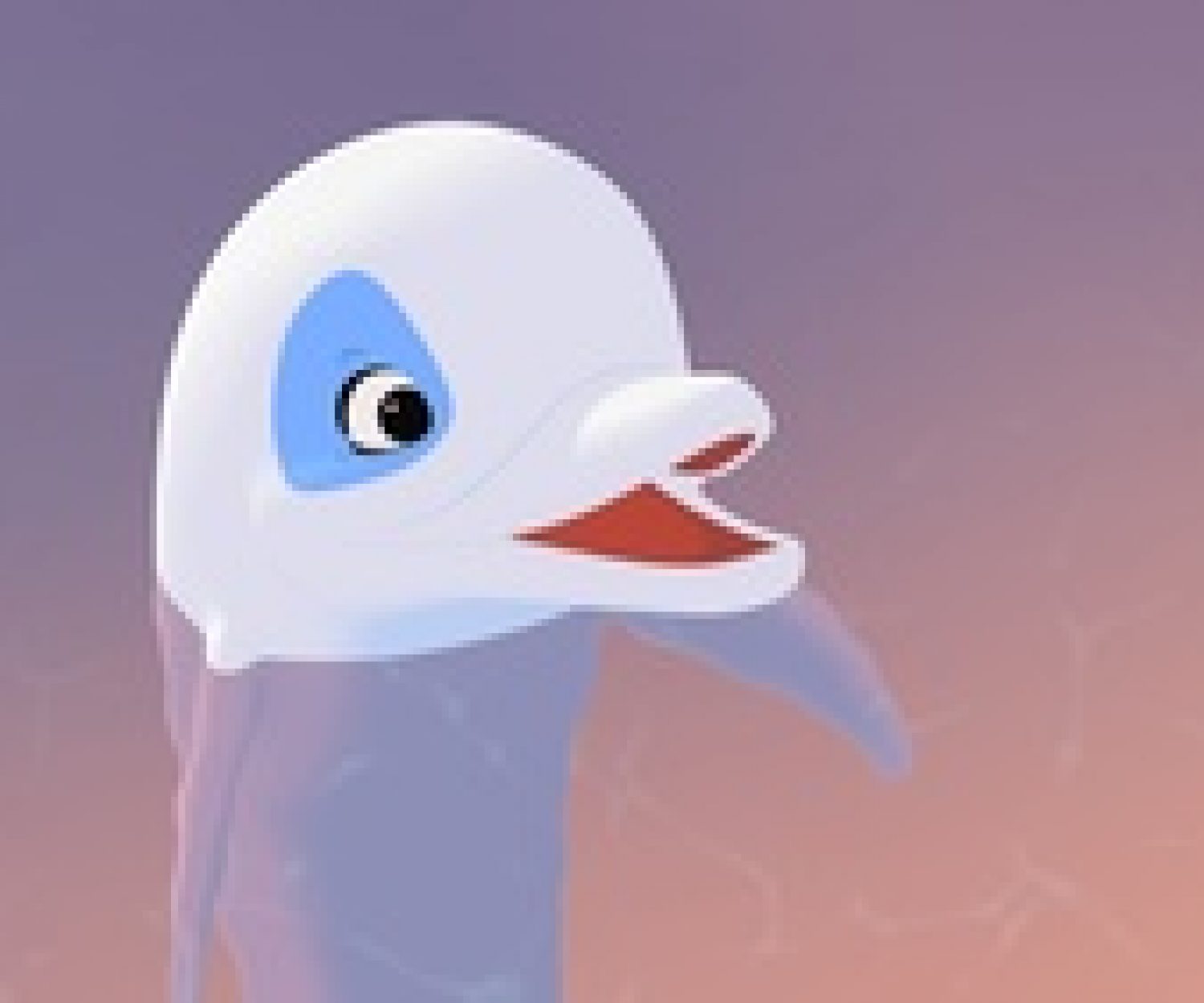 Zoom, der weiße Delfin.