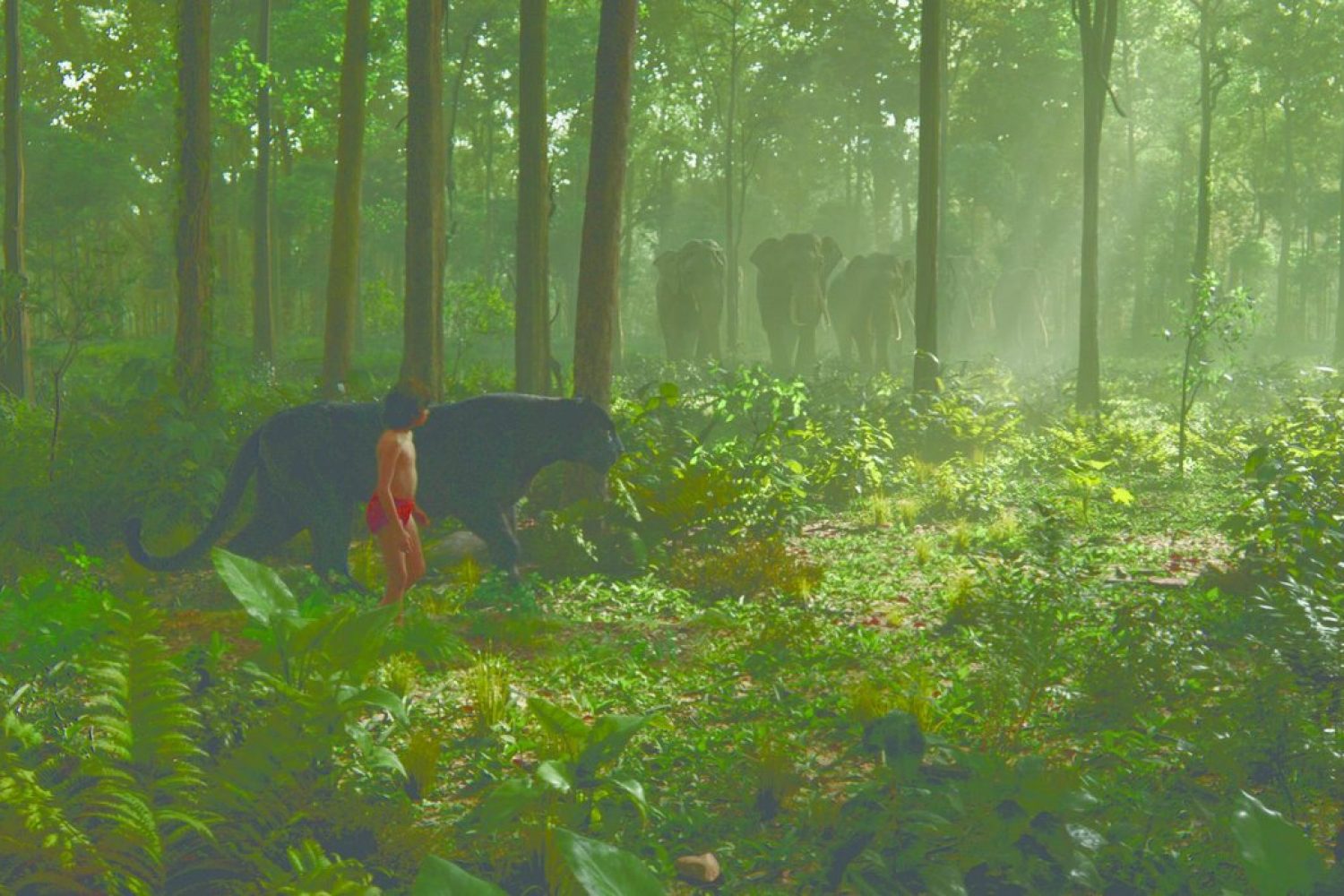 THE JUNGLE BOOK - (L-R) MOWGLI and BAGHEERA. ©2016 Disney Enterprises, Inc. All Rights Reserved.