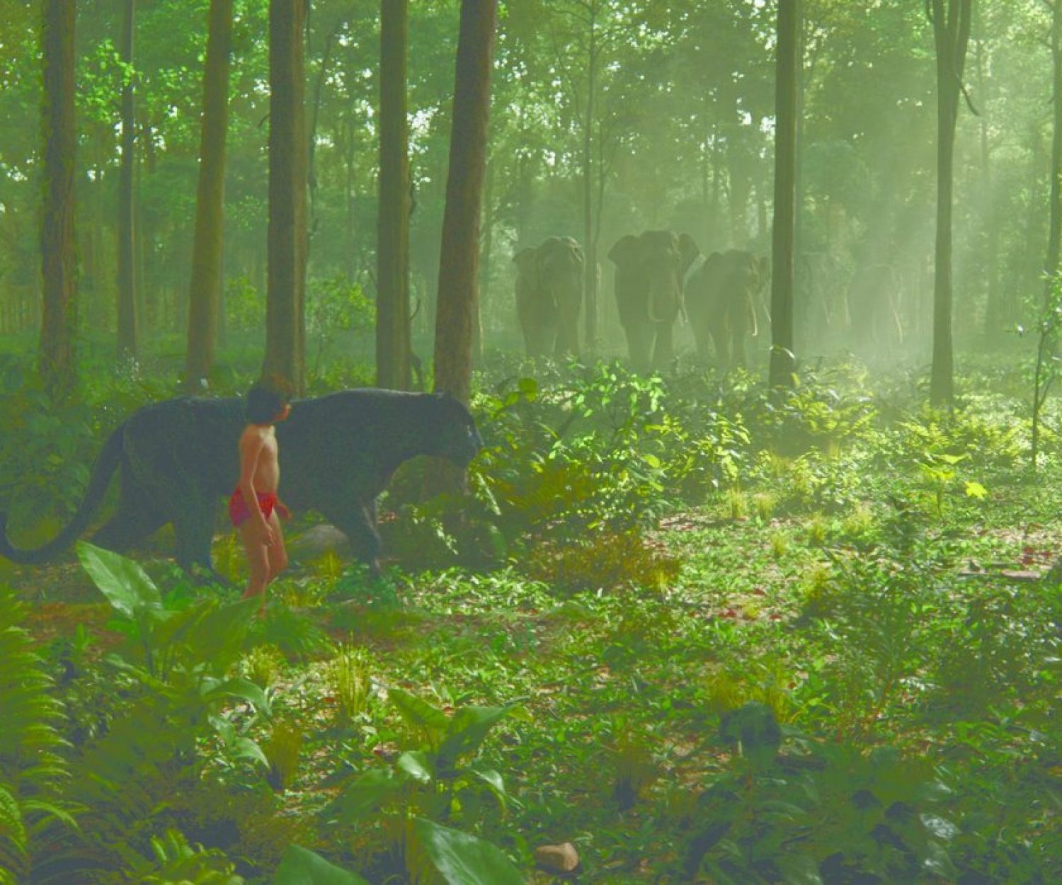 THE JUNGLE BOOK - (L-R) MOWGLI and BAGHEERA. ©2016 Disney Enterprises, Inc. All Rights Reserved.