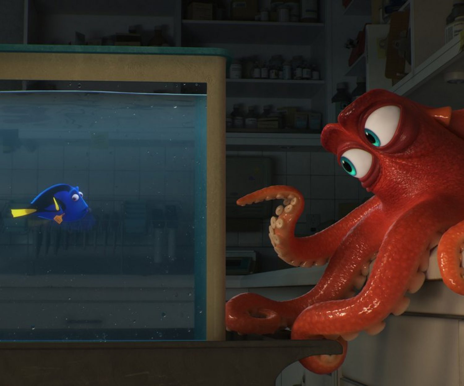 DO I KNOW YOU? -- In Disney?Pixar's "Finding Dory," everyone's favorite forgetful blue tang, Dory (voice of Ellen DeGeneres), encounters an array of new?and old?acquaintances, including a cantankerous octopus named Hank (voice of Ed O'Neill). Directed by Andrew Stanton (?Finding Nemo,? ?WALL?E?) and produced by Lindsey Collins (co-producer ?WALL?E?), ?Finding Dory? swims into theaters June 17, 2016.