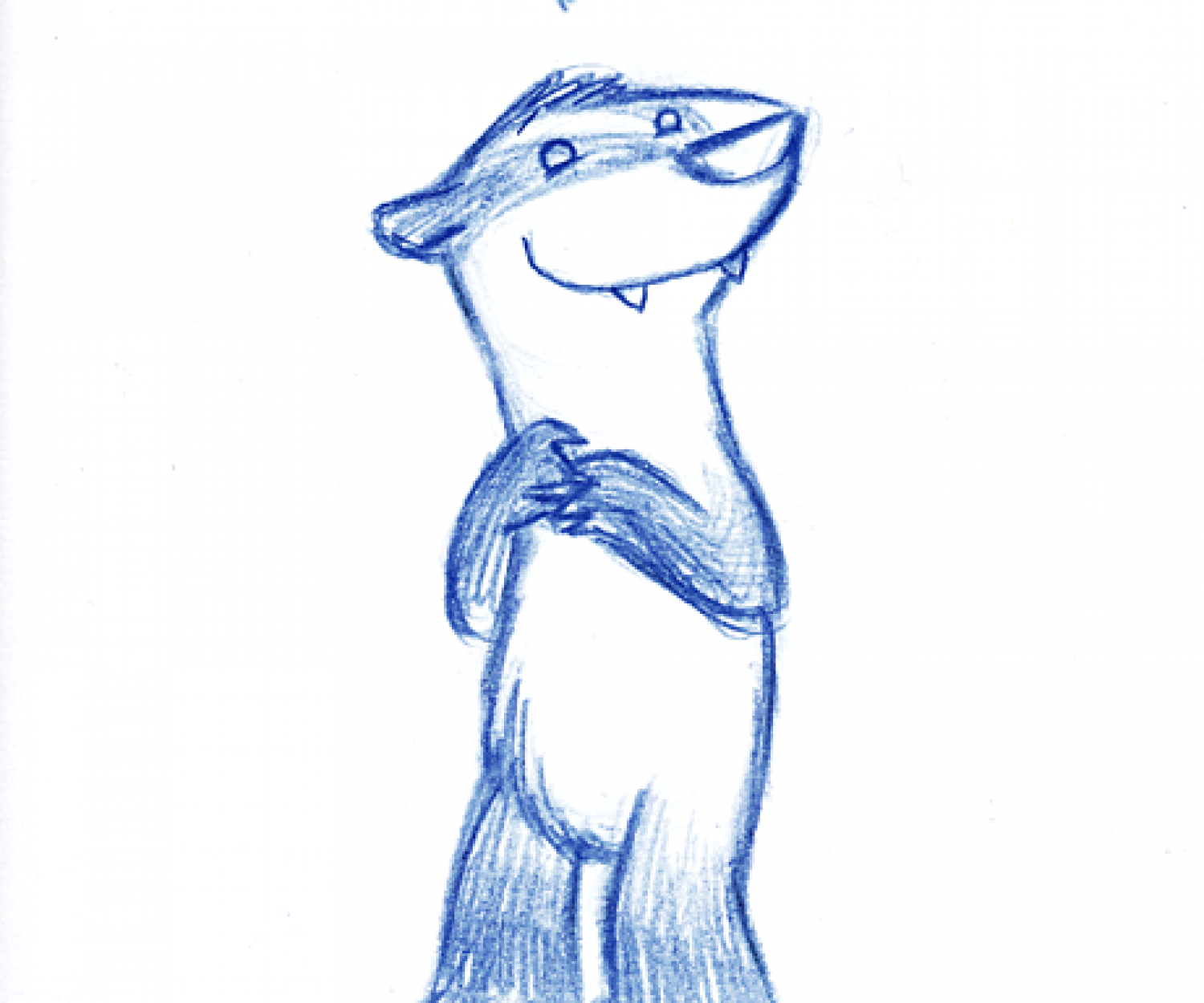 Paulines neuer INDACHS