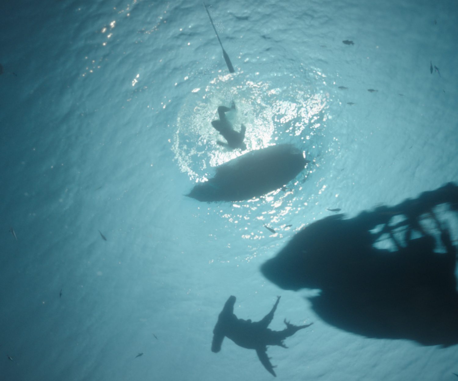 Szene aus PIRATES OF THE CARIBBEAN: SALAZARS RACHE