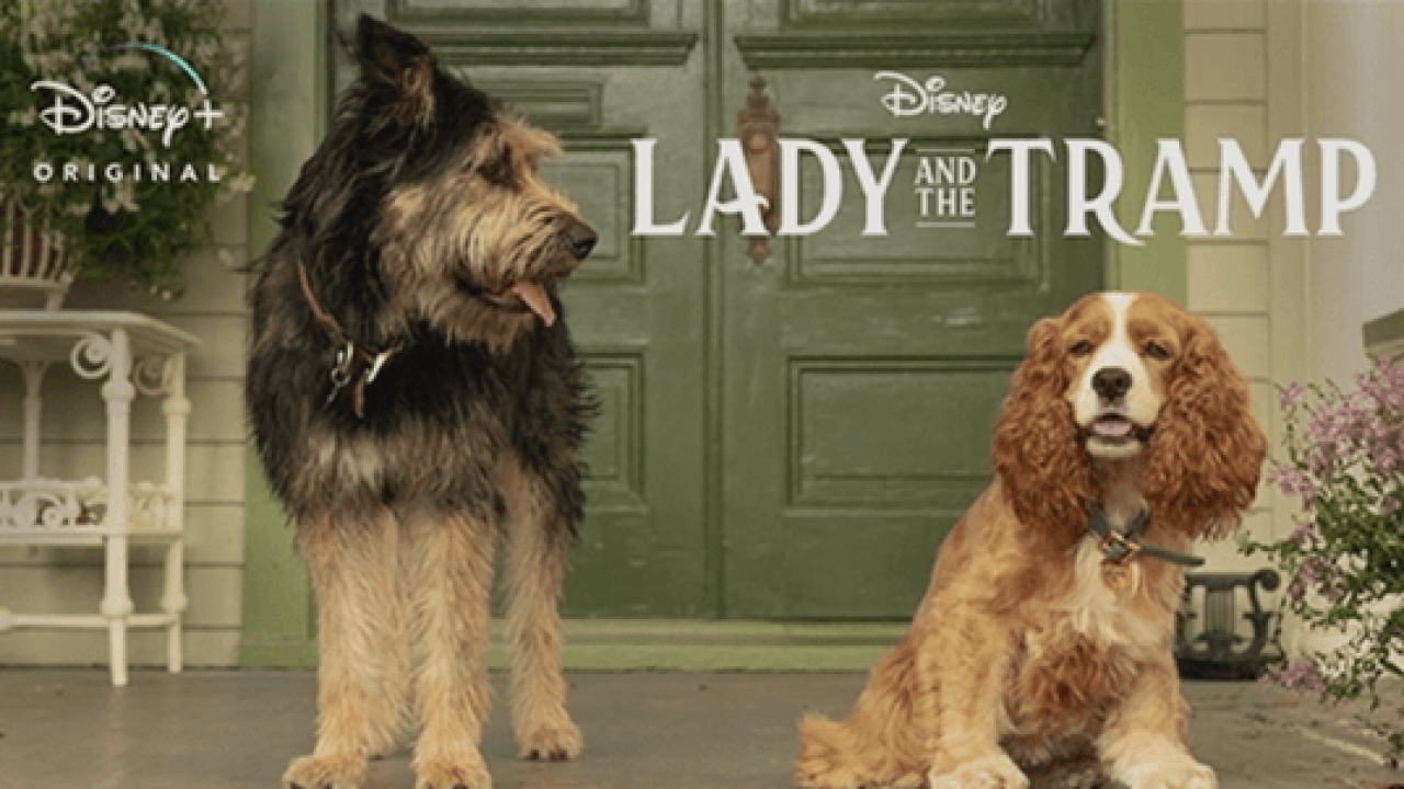 Lady and the Tramp, Official Trailer #2, Disney+
